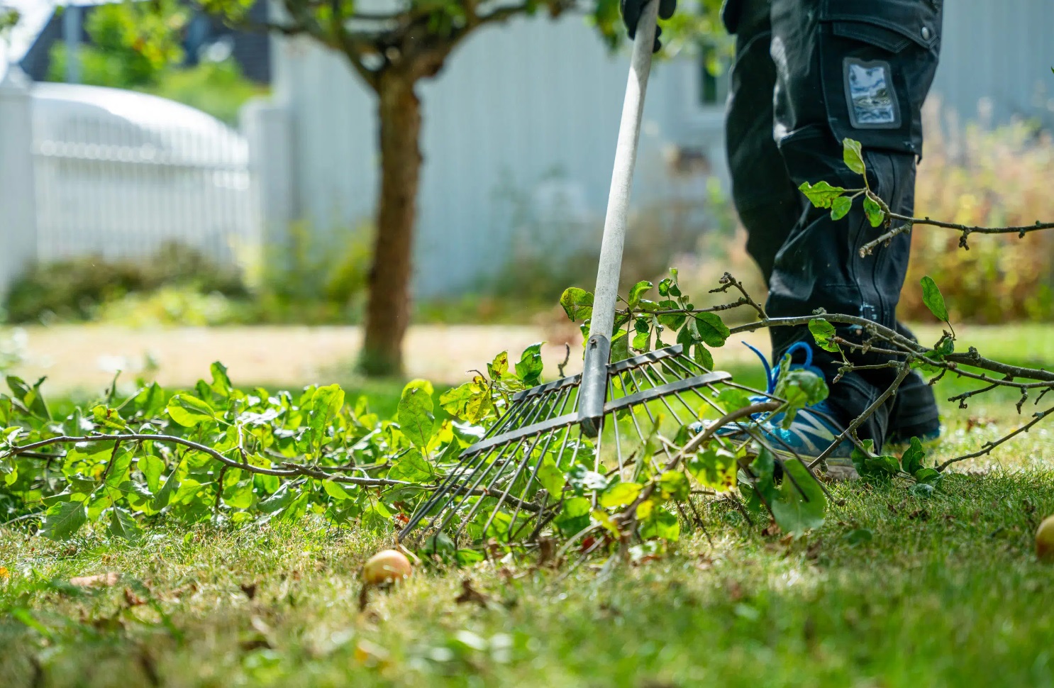 Professionell Gräsklippning i Flemingsberg